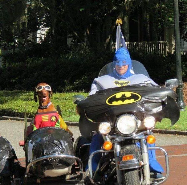 Picdump 161 - #58 
