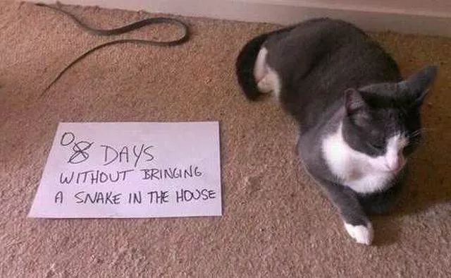 Picdump 161 - #65 