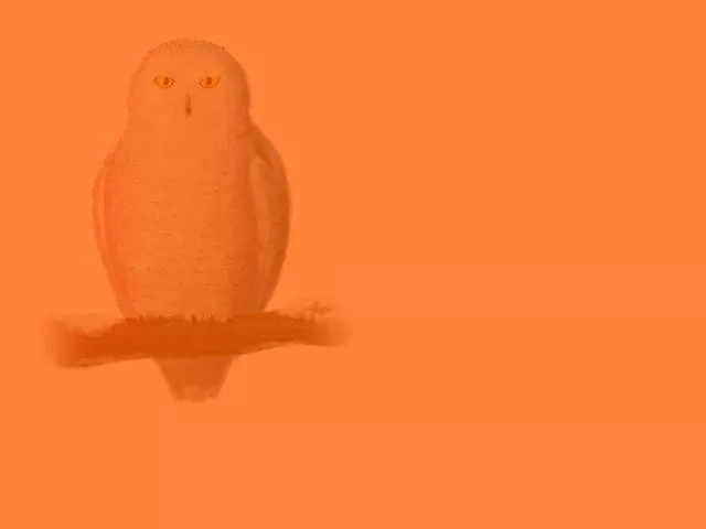 Seuls les introvertis sont capables de le voir - #10 