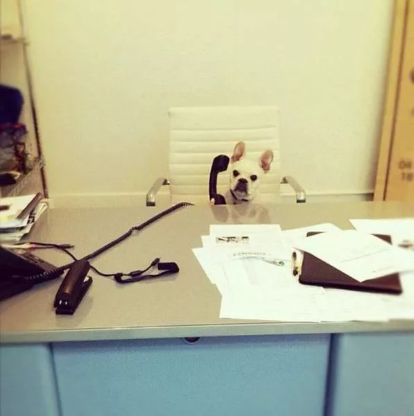 Picdump 23 - #28 