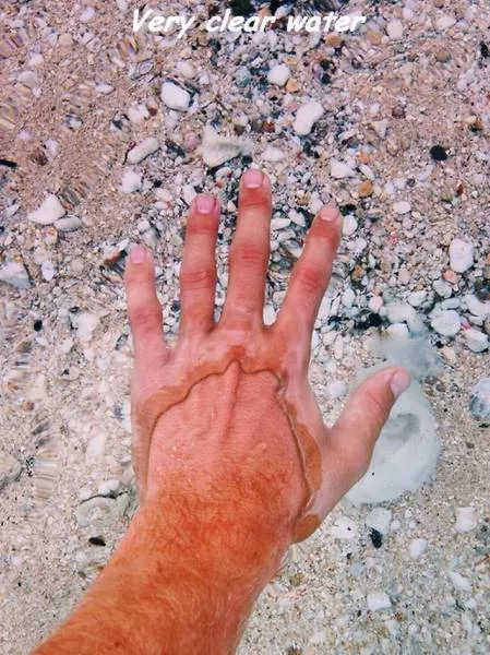 Picdump 23 - #35 