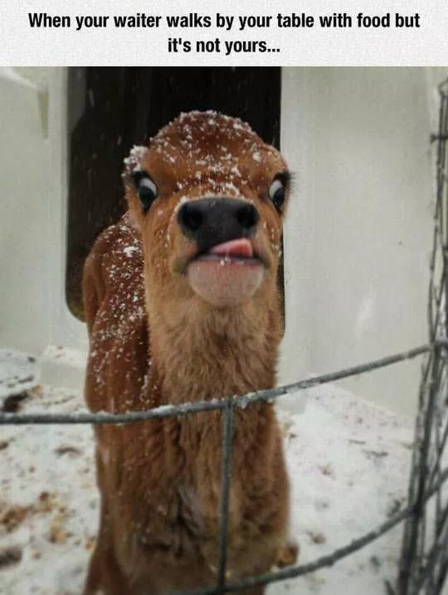 Picdump 23 - #52 