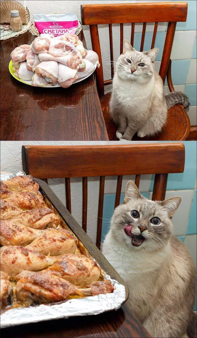Picdump 23 - #56 