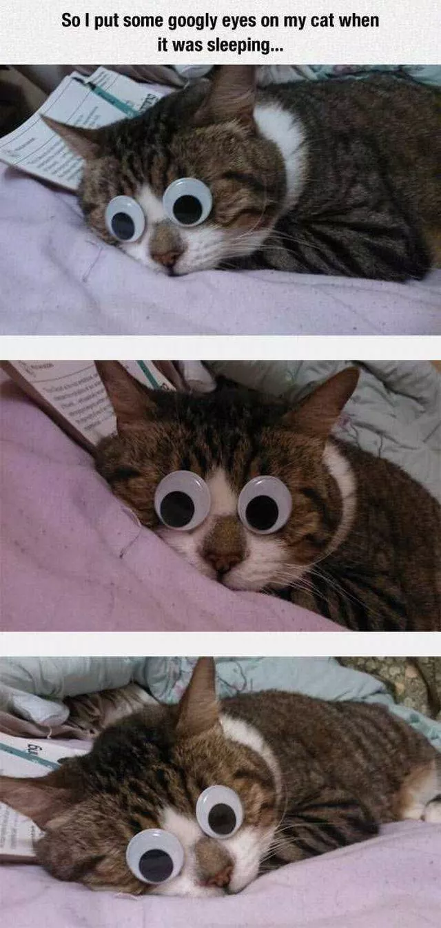 Picdump 23 - #57 