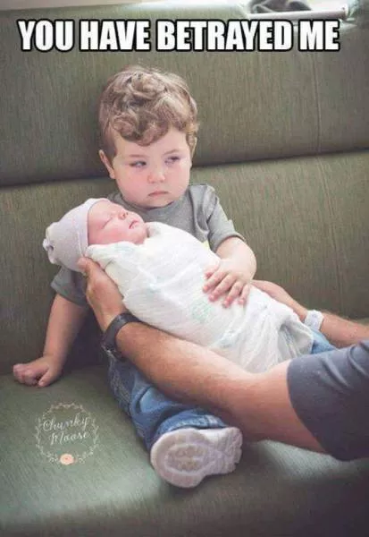 Picdump 23 - #6 