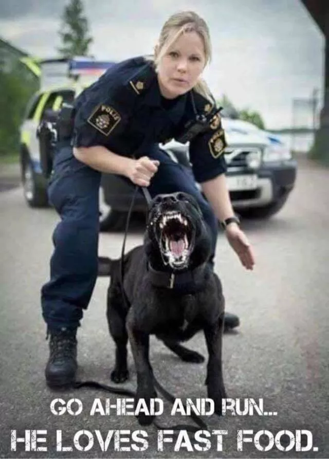 Picdump 23 - #9 