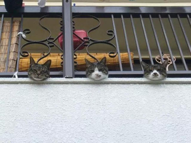 Picdump 162 - #5 