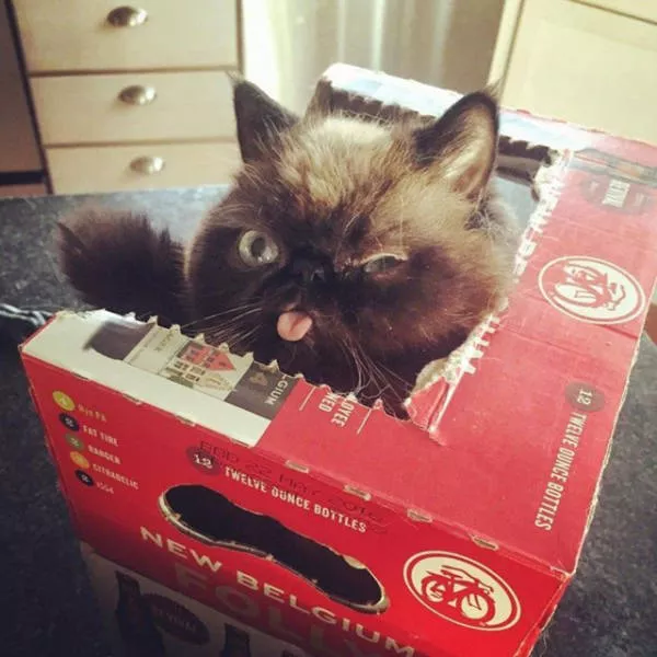 Picdump 162 - #6 