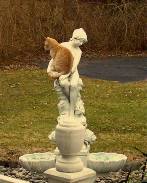 Picdump 162 - #75 