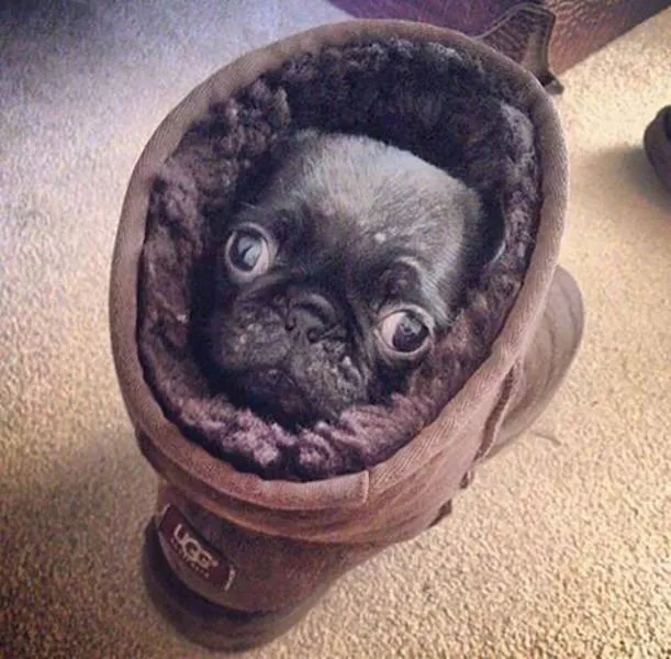 Picdump 162 - #89 