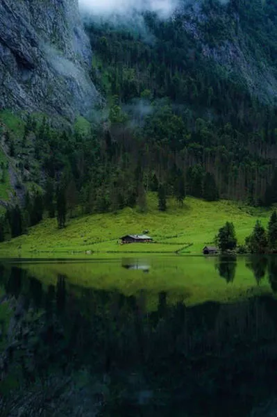 Top pics of the week - #11 