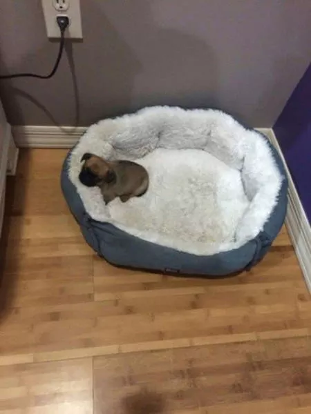 Top pics of the week - #13 