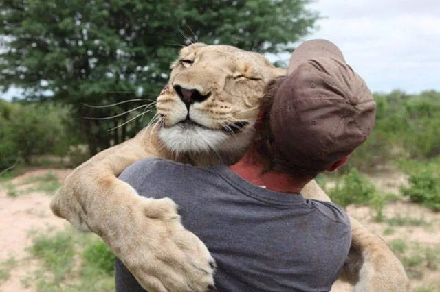 Top pics of the week - #18 