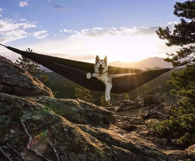 Top pics of the week - #2 