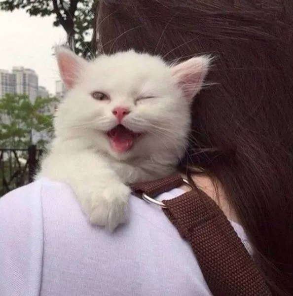 Top pics of the week - #23 
