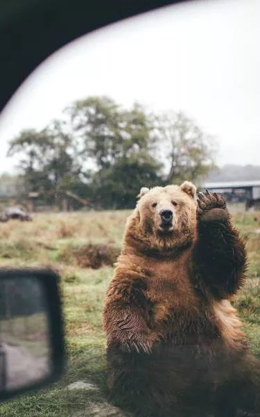Picdump 163 - #13 