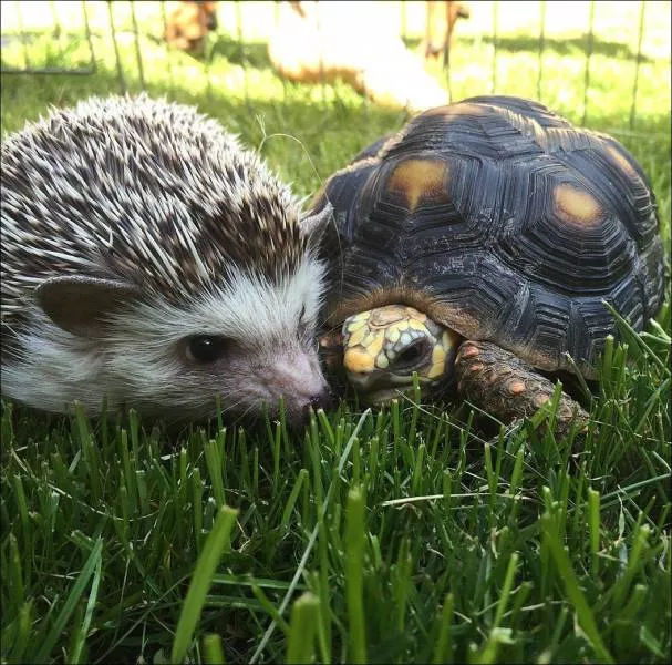 Picdump 163 - #15 