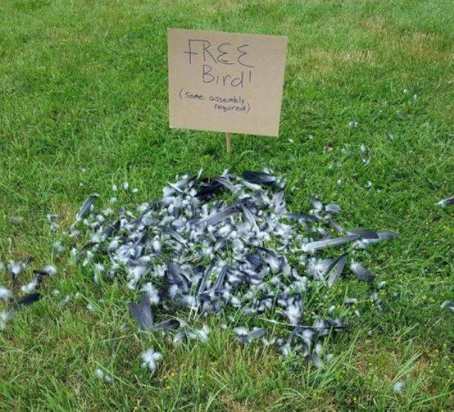 Picdump 163 - #16 
