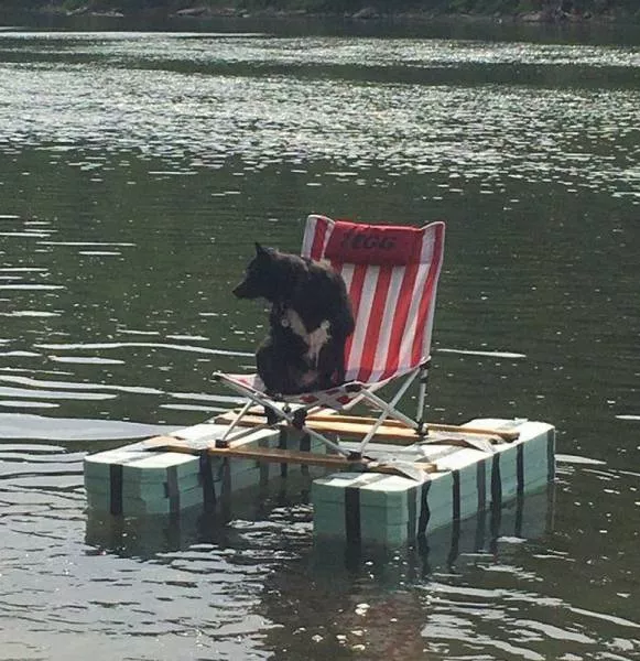 Picdump 163 - #17 