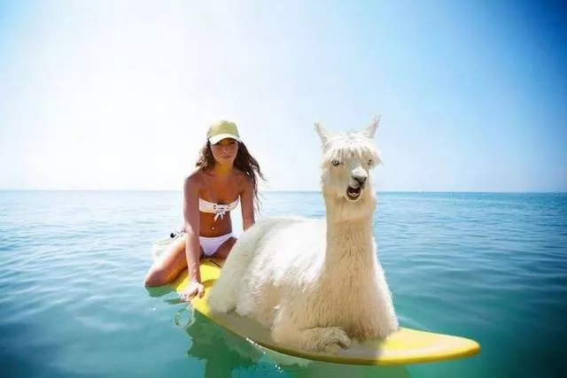 Picdump 163 - #61 