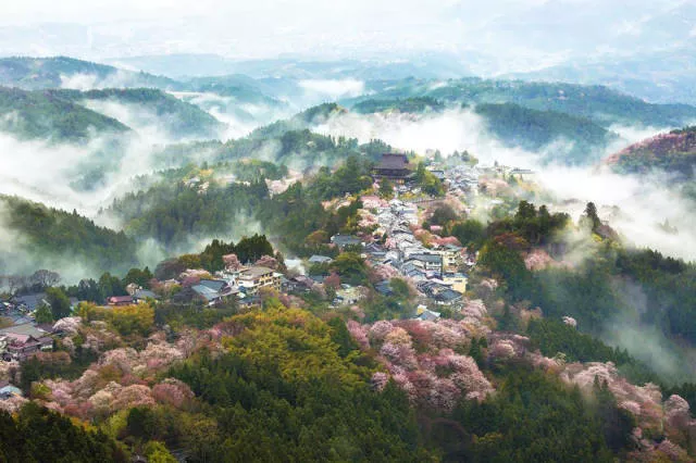Beautiful cherry blossom photos in japan - #3 