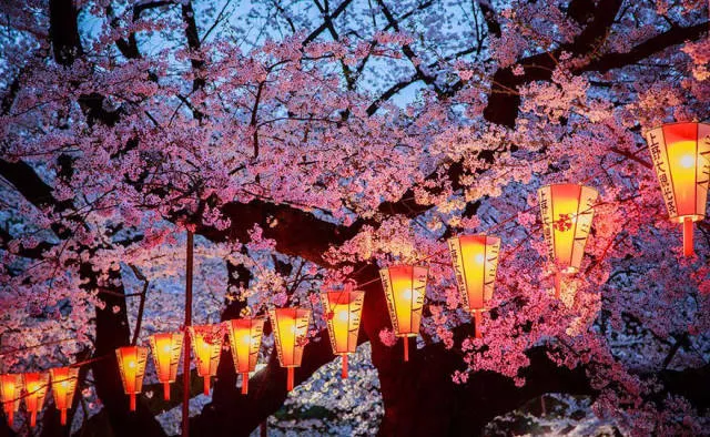 Beautiful cherry blossom photos in japan - #4 