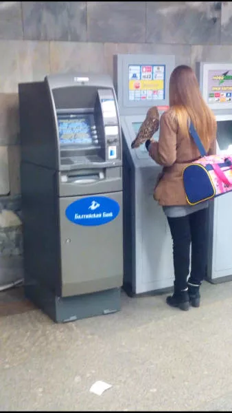 Picdump 164 - #43 