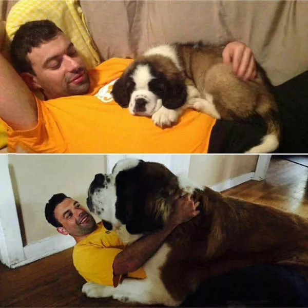 Picdump 164 - #53 