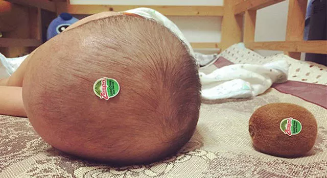 Picdump 164 - #74 