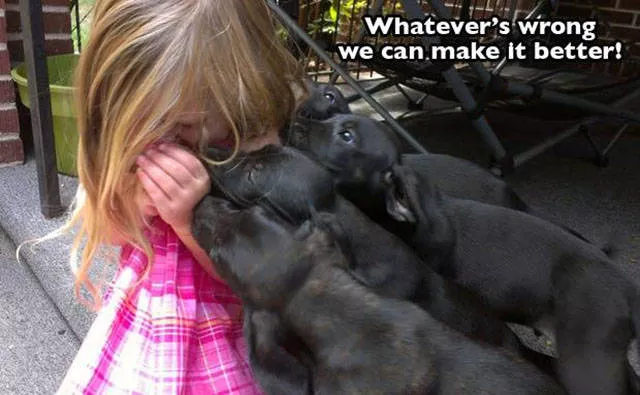 Picdump 164 - #89 