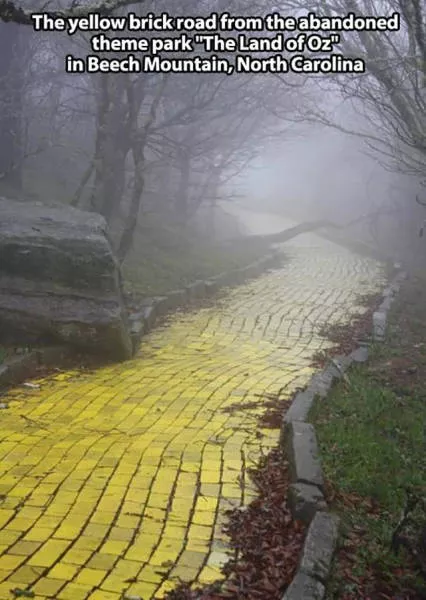 52 unusual objects you didnt know about - #28 