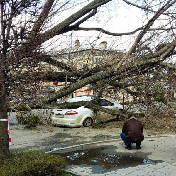 Picdump 24 - #26 