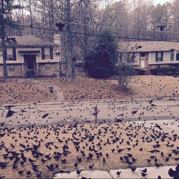 Picdump 24 - #38 
