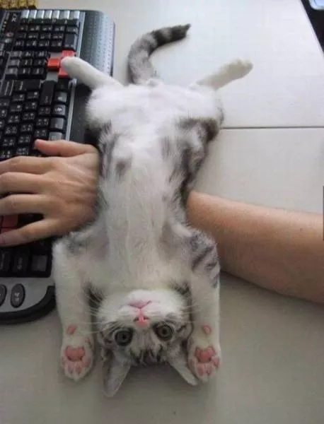 Picdump 24 - #56 