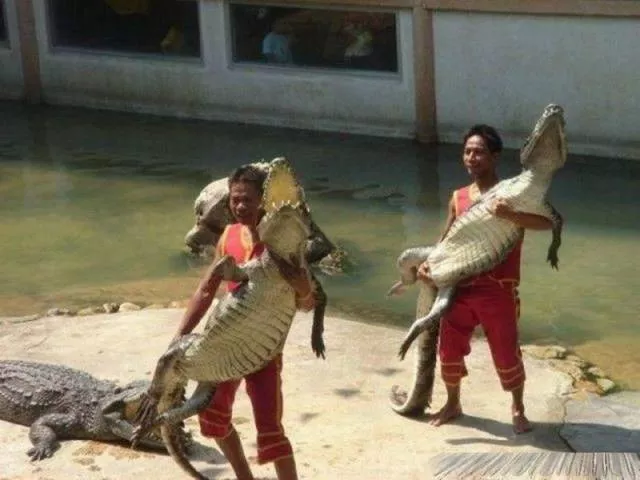 Picdump 24 - #61 