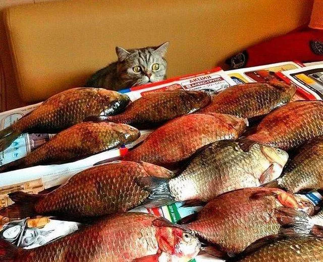 Picdump 165 - #28 