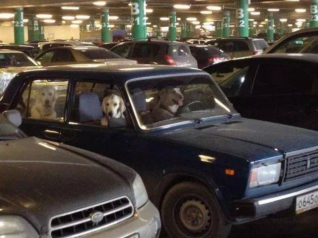 Picdump 165 - #35 