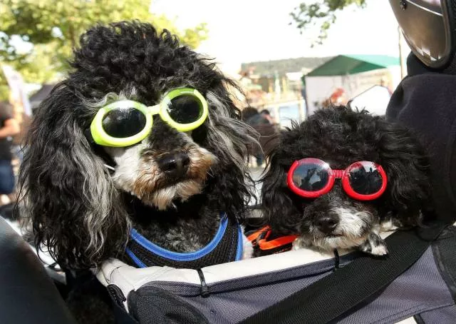 Picdump 165 - #45 