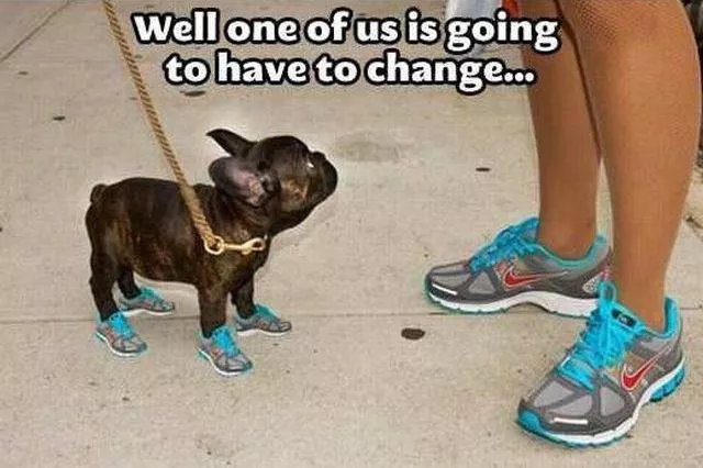 Picdump 165 - #54 