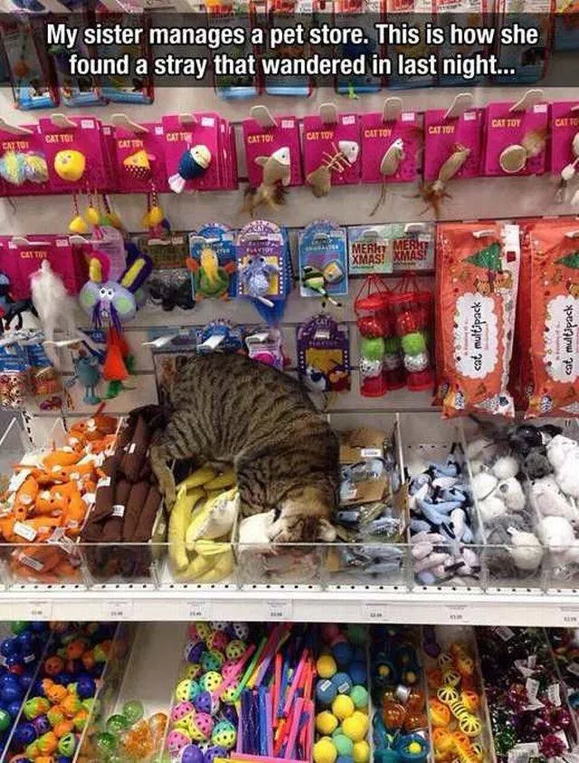 Picdump 165 - #58 