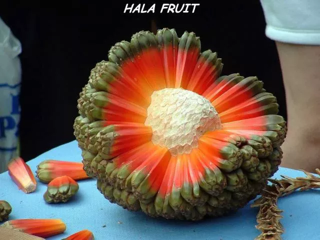 Picdump 165 - #72 