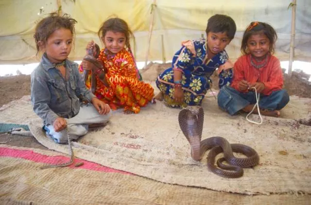 Crazy and wonderful kids in pictures - #13 