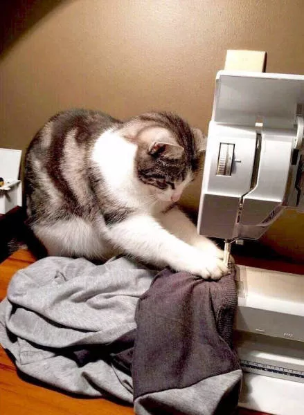 Picdump 167 - #51 