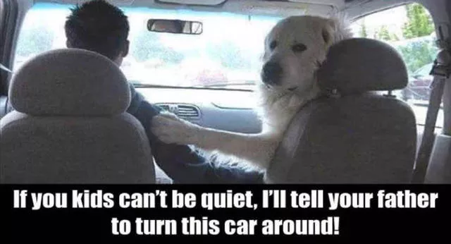 Picdump 167 - #54 