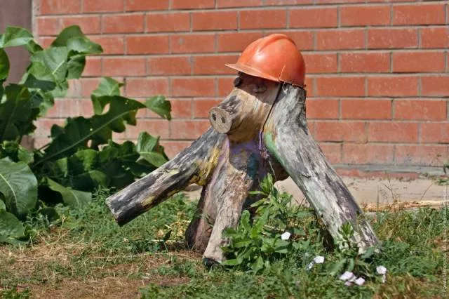 Picdump 167 - #8 