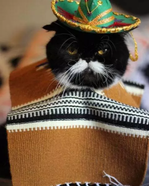Picdump 168 - #36 