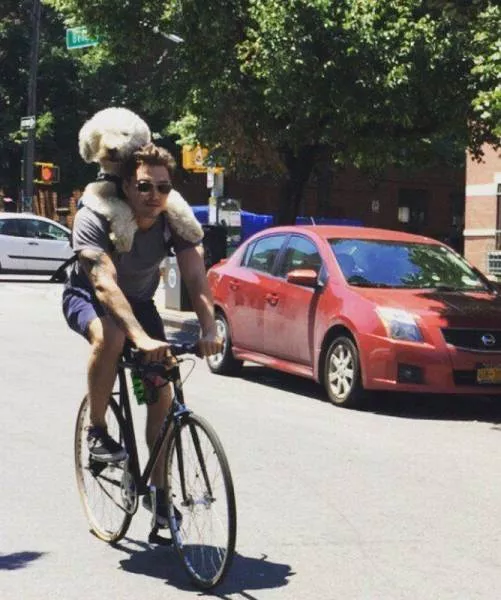 Picdump 168 - #52 
