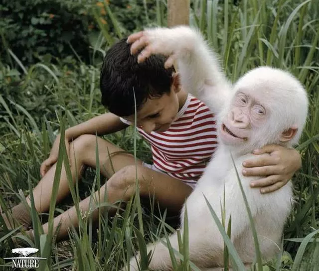 Picdump 168 - #53 