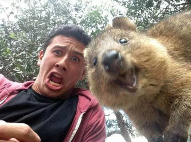 Bienvenue en australie paysages et culture - #36 