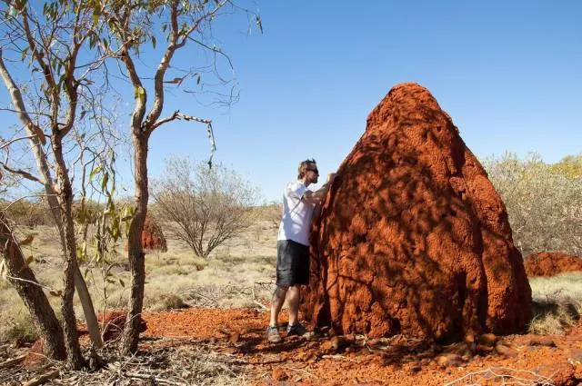 Welcome to australia landscapes and culture - #5 